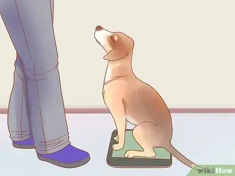 Image titled Determine Your Dog's Breed Step 8