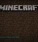 Find the Ender Dragon in Minecraft