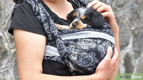 Image titled Carry a Puppy Step 10