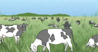 Determine How Many Acres of Pasture are Required For Your Cattle