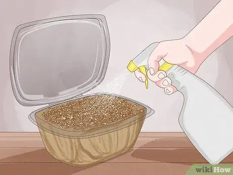 Image titled Grow Microgreens Step 11