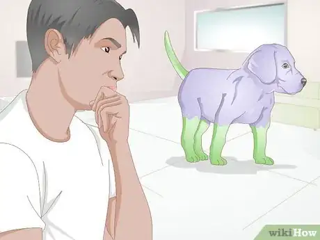 Image titled Dye Your Dog's Hair with Kool Aid Step 5