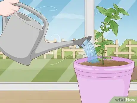 Image titled Protect Plants Step 1