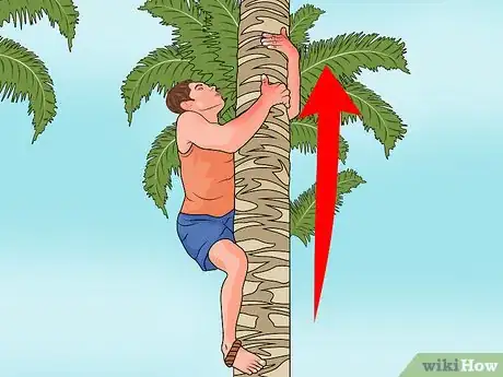 Image titled Climb a Palm Tree Step 10