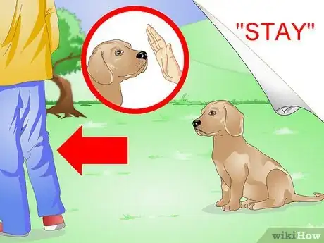Image titled Train a Hyper Dog Step 10