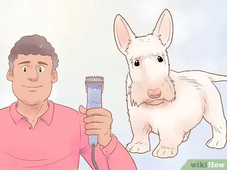 Image titled Groom a Scottish Terrier Step 11