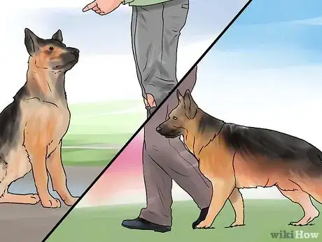 Image titled Train a German Shepherd Step 11