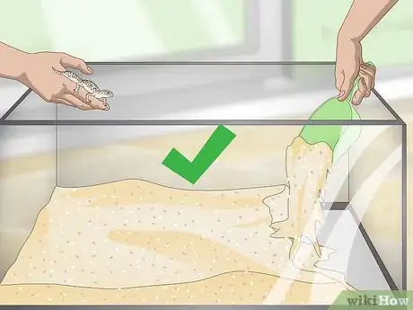 Image titled Clean and Reuse Reptile Substrate_Sand Step 10