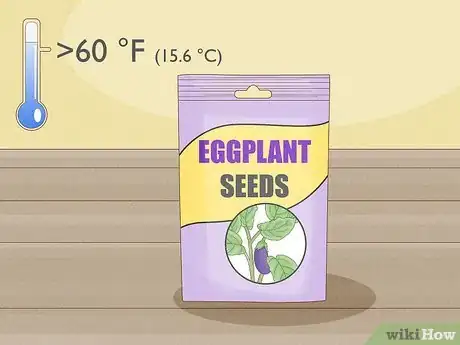 Image titled Grow Eggplants in Pots Step 7