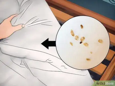 Image titled Identify a Bed Bug Infestation Step 3