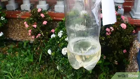 Image titled Make a Drip Irrigator from a Plastic Bottle Step 1