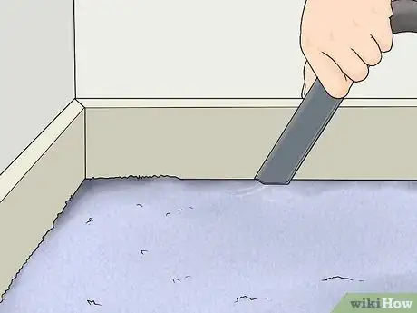 Image titled Clean Carpet Edges Step 7