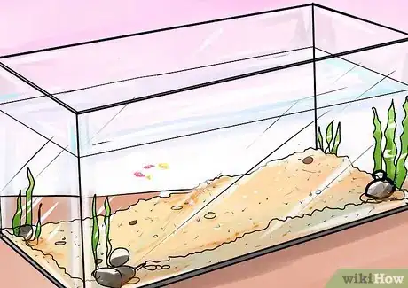 Image titled Care for Baby Guppies Step 1