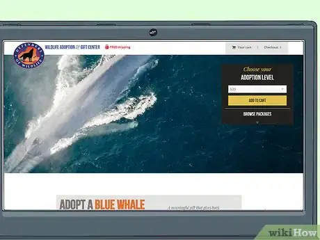 Image titled Help Save Whales Step 10