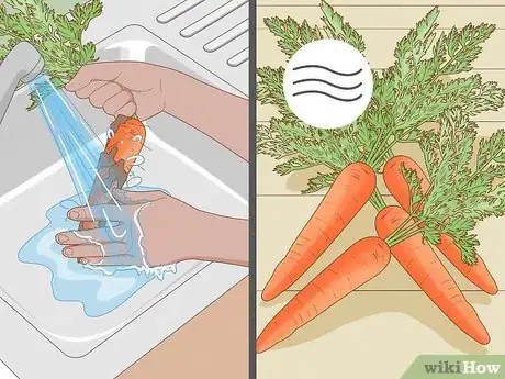 Image titled Harvest Carrots Step 10