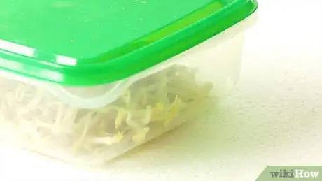 Image titled Freeze Bean Sprouts Step 11