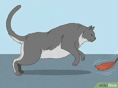 Image titled Treat a Cat With Asthma Step 5