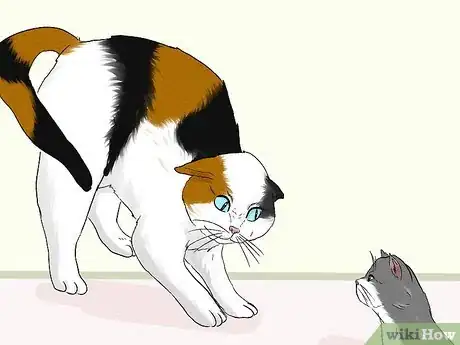 Image titled Stop an Older Cat from Attacking a Kitten Step 11