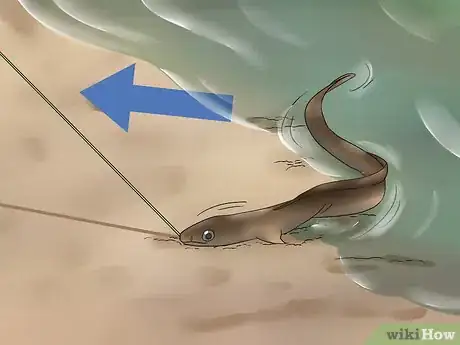 Image titled Catch Eels Step 19