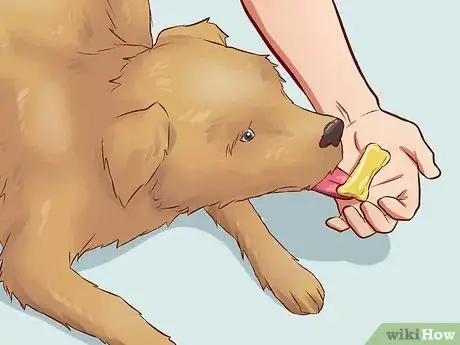 Image titled Teach Your Dog Basic Commands Step 11