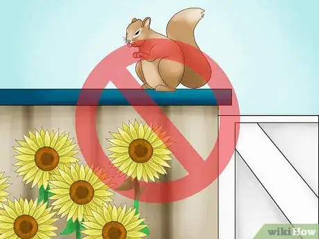 Image titled Protect Sunflowers from Squirrels Step 10