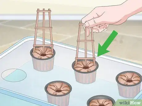 Image titled Start a Hydroponic Garden in Your Apartment Step 13