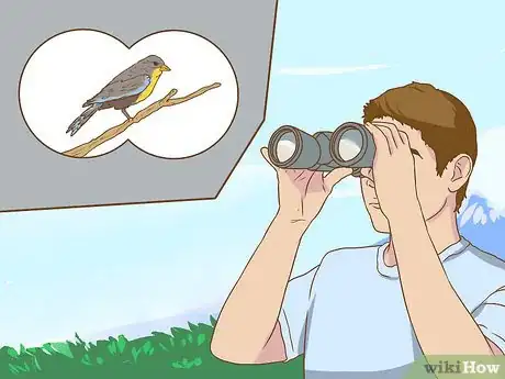 Image titled Bird Watch Step 14