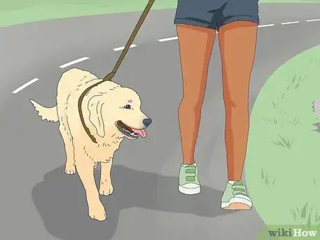 Image titled Calm a Male Dog when a Female Is in Heat Step 7