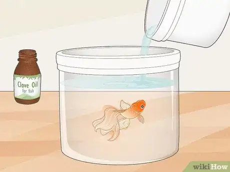 Image titled Dispose of Aquarium Fish Step 8