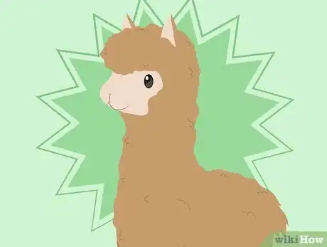 Image titled Buy Alpacas Step 1