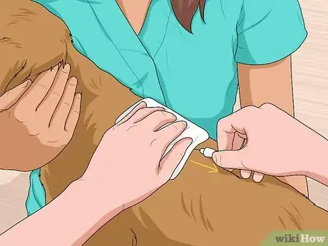 Image titled Nurse a Dog Through Parvo Step 9