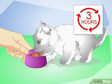 Image titled Get Your Kitten to Eat Step 12