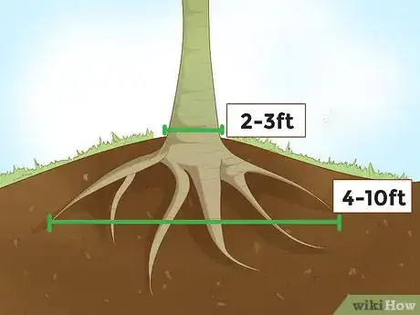 Image titled Grow Papaya Step 8