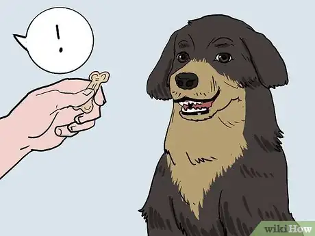 Image titled Teach a Dog to Smile Step 5