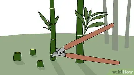 Image titled Kill Bamboo Step 1