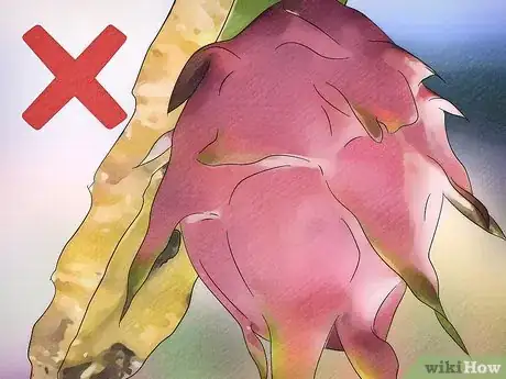 Image titled Tell if a Dragon Fruit Is Ripe Step 6