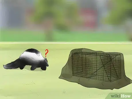 Image titled Approach and Release a Skunk from a Live Trap Step 6