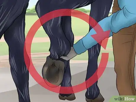 Image titled Pick a Horse Hoof Step 14