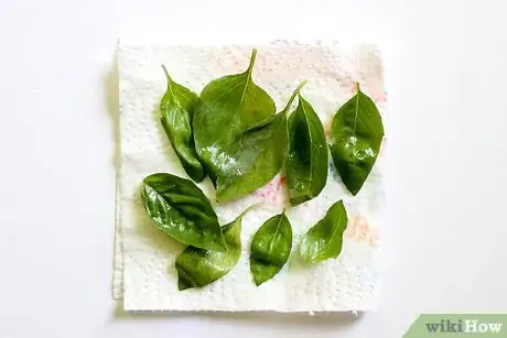 Image titled Store Fresh Basil in Olive Oil Step 1