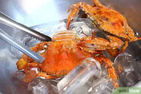 Image titled Boil Blue Crab Step 11