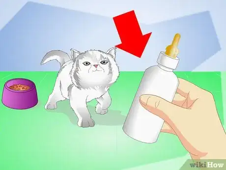 Image titled Get Your Kitten to Eat Step 14