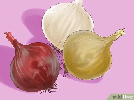 Image titled Grow Onions Step 1