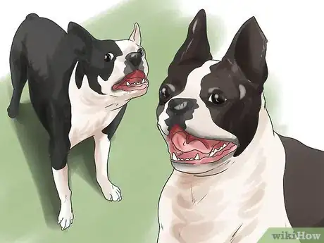 Image titled Get Your Dog to Be Nice to Strangers Step 11