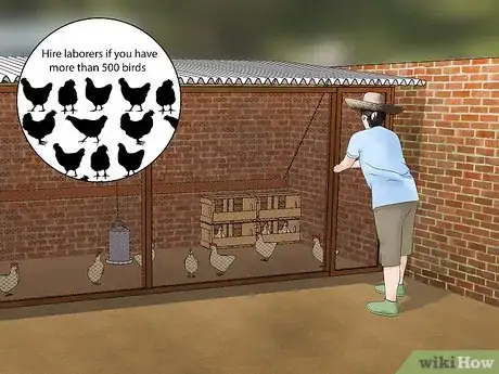 Image titled Start a Chicken Farm Business Step 10