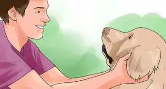 Be a Good Dog Owner