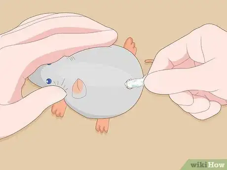 Image titled Make Cat Toys out of Common Household Items Step 10