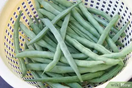 Image titled Freeze Green Beans Step 2