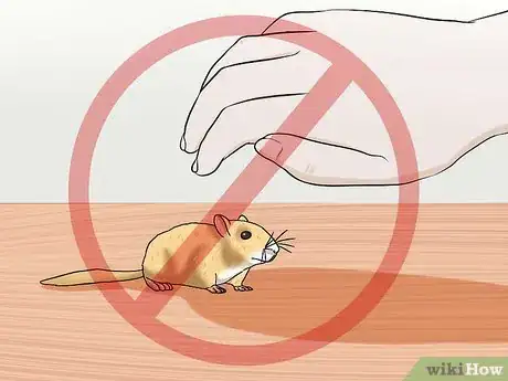 Image titled Pick up a Gerbil Step 12