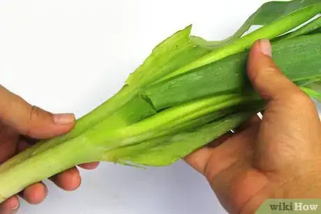 Image titled Select and Use Leeks Step 2