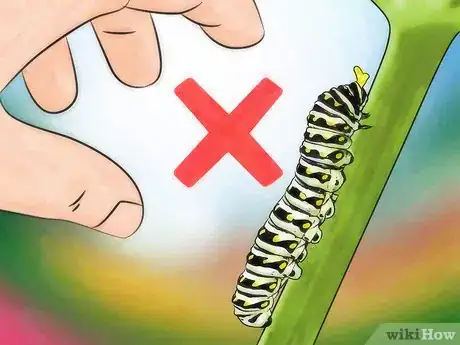 Image titled Keep Wild Caterpillars As Pets Step 4